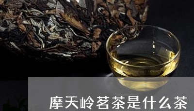 摩天岭茗茶是什么茶/2023041581594