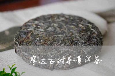 摩达古树茶普洱茶/2023031616158