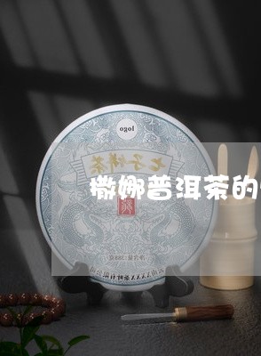 撒娜普洱茶的特点/2023031799169