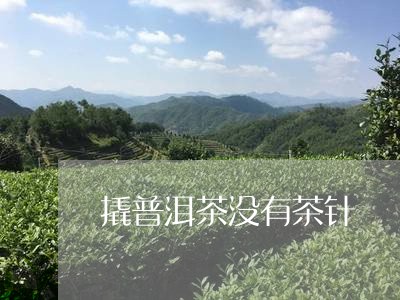 撬普洱茶没有茶针/2023041105147