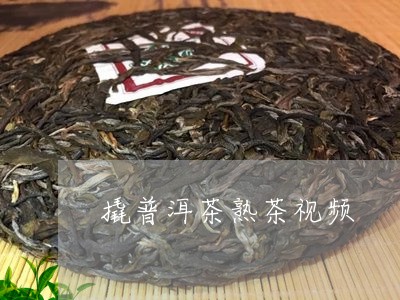 撬普洱茶熟茶视频/2023031649471