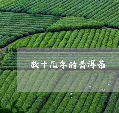 放十几年的普洱茶/2023033033938