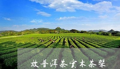 放普洱茶实木茶架/2023041154824