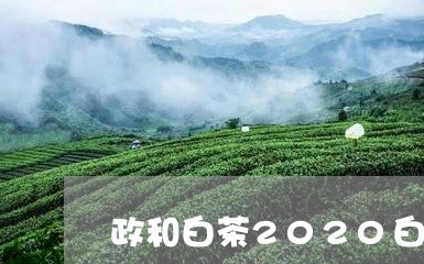 政和白茶2020白毫银针/2023033065047