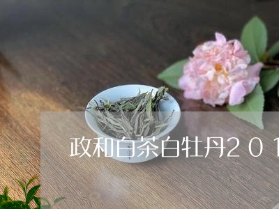 政和白茶白牡丹2016年/2023033075162