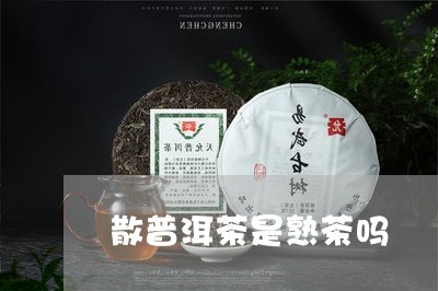 散普洱茶是熟茶吗/2023031691715