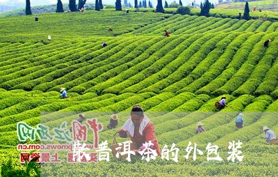 散普洱茶的外包装/2023031694959