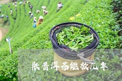 散普洱茶能放几年/2023031608250