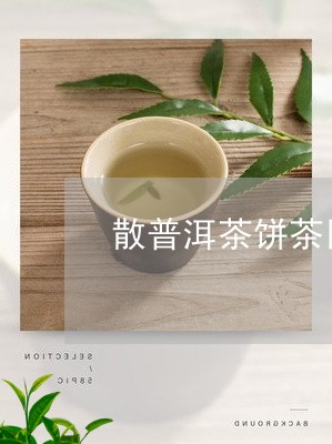 散普洱茶饼茶区别/2023031620715