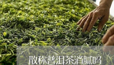 散称普洱茶消腻吗/2023033168281