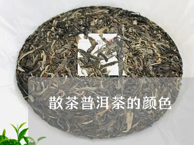 散茶普洱茶的颜色/2023041138581