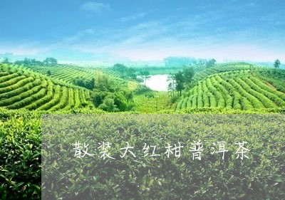 散装大红柑普洱茶/2023041017380