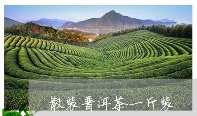 散装普洱茶一斤装/2023040165946