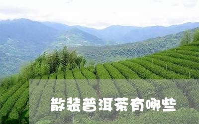 散装普洱茶有哪些/2023041131826