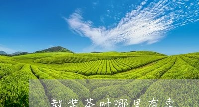 散装茶叶哪里有卖/2023032581814