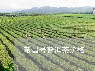 敬昌号普洱茶价格/2023041356059