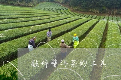 敲碎普洱茶的工具/2023041028473