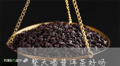 整天喝普洱茶好吗/2023040984926