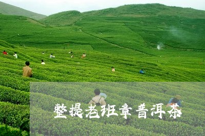 整提老班章普洱茶/2023041297205