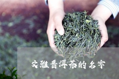 文雅普洱茶的名字/2023041395250