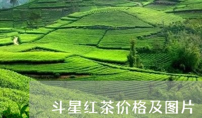 斗星红茶价格及图片/2023032173936