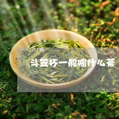 斗笠杯一般喝什么茶/2023041527158