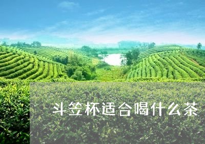 斗笠杯适合喝什么茶/2023032015168