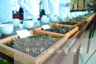 斗记巴达山普洱茶/2023033158683