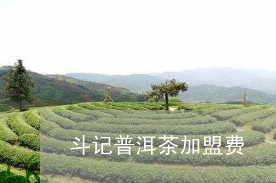 斗记普洱茶加盟费/2023041330372