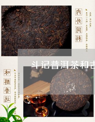 斗记普洱茶和古今/2023031829594