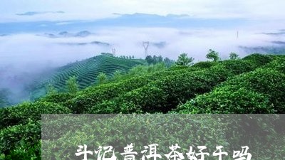 斗记普洱茶好干吗/2023033165471