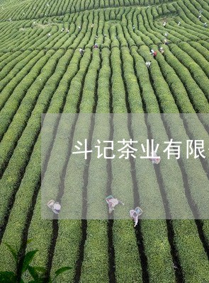 斗记茶业有限公司/2023041347250