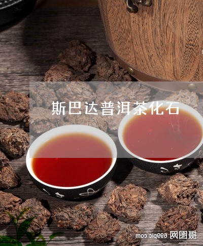 斯巴达普洱茶化石/2023041068270