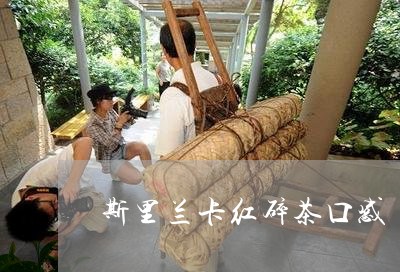 斯里兰卡红碎茶口感/2023041523957