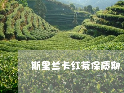 斯里兰卡红茶保质期/2023031879362