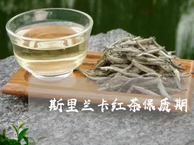 斯里兰卡红茶保质期/2023041403616