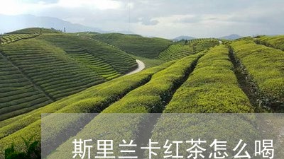 斯里兰卡红茶怎么喝/2023031938369