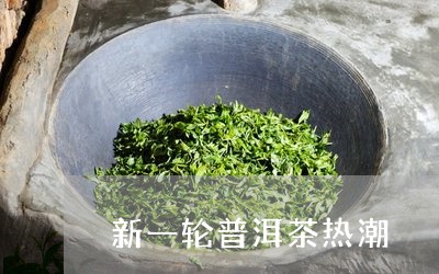 新一轮普洱茶热潮/2023033193724