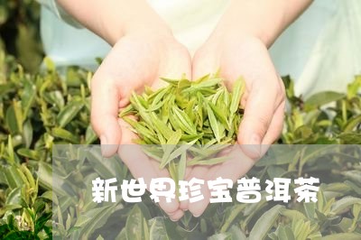 新世界珍宝普洱茶/2023041030482