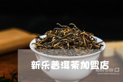 新乐普洱茶加盟店/2023033038151