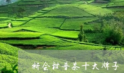 新会柑普茶十大牌子/2023032194848