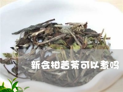 新会柑普茶可以煮吗/2023032119372