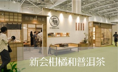 新会柑橘和普洱茶/2023040991149