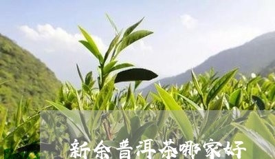 新余普洱茶哪家好/2023041003938