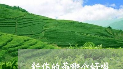 新作的茶哪个好喝/2023032293149