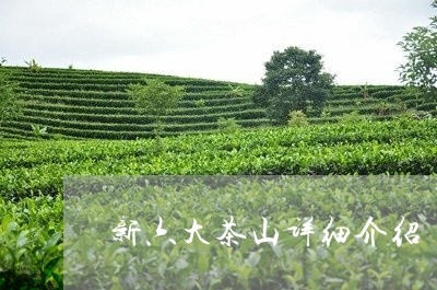 新六大茶山详细介绍/2023041679502