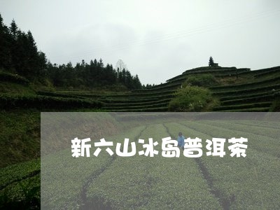 新六山冰岛普洱茶/2023041396170