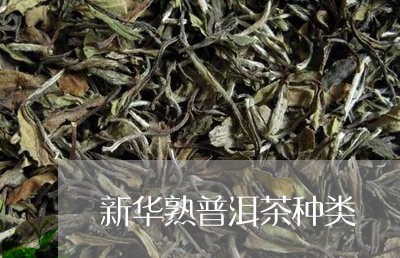 新华熟普洱茶种类/2023041018179