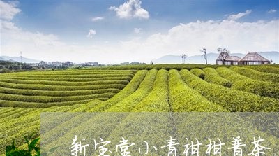 新宝堂小青柑柑普茶/2023032230691