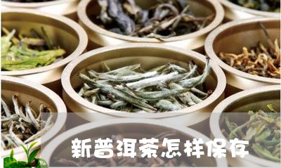 新普洱茶怎样保存/2023041332726